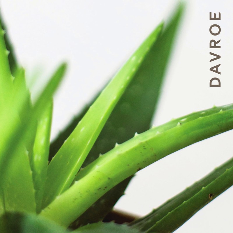 Маска Davroe незмивна для волосся Luxe Leave-In Masque 496 фото