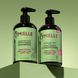 Шампунь Mielle Rosemary Mint Strengthening Shampoo зміцнюючий з розмарином і м'ятою ME03 фото 4