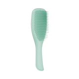 Щітка для волосся Tangle Teezer The Ultimate Detangler Fine & Fragile Marine Teal tt20 фото