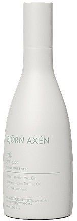 Освіжаючий шампунь для шкіри голови BJORN AXEN Scalp Shampoo 0305_250 фото