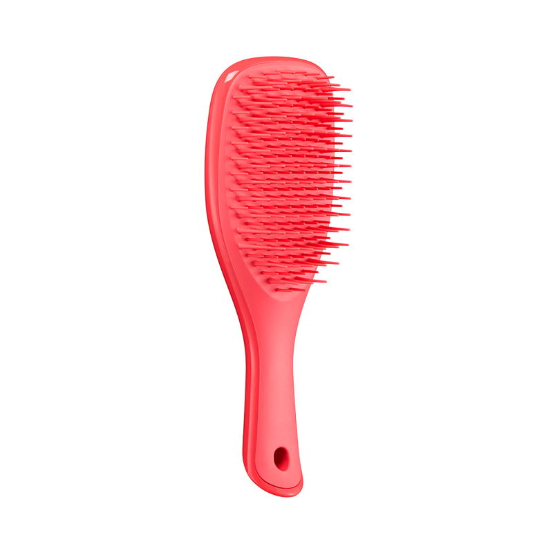 Щітка для волосся Tangle Teezer The Ultimate Detangler Mini Pink Punch tt25 фото