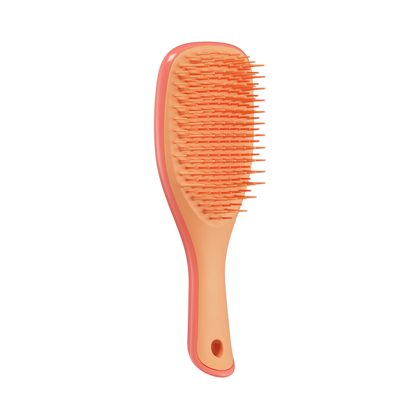 Щітка для волосся Tangle Teezer The Ultimate Detangler Mini Salmon Pink & Apricot tt26 фото