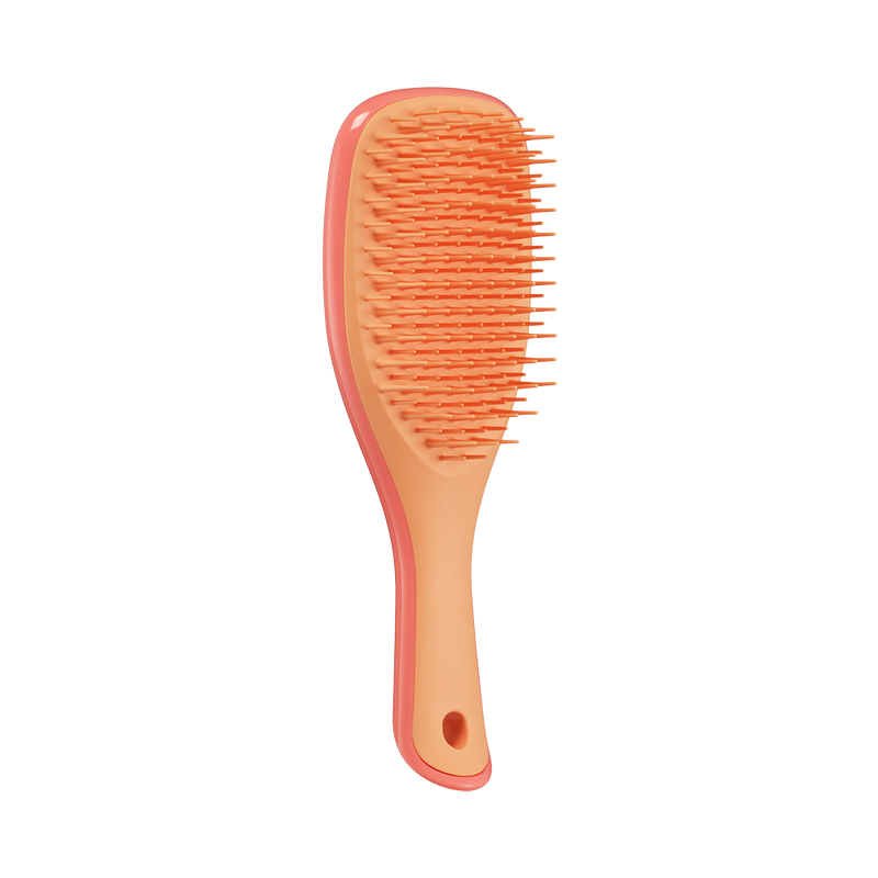 Щітка для волосся Tangle Teezer The Ultimate Detangler Mini Salmon Pink & Apricot tt26 фото