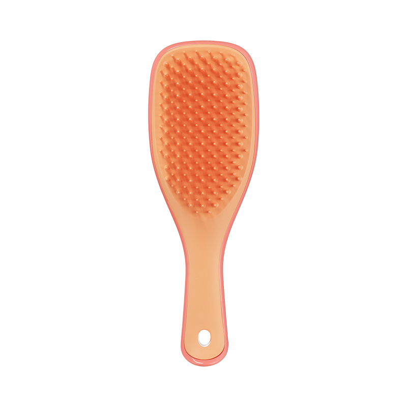 Щітка для волосся Tangle Teezer The Ultimate Detangler Mini Salmon Pink & Apricot tt26 фото