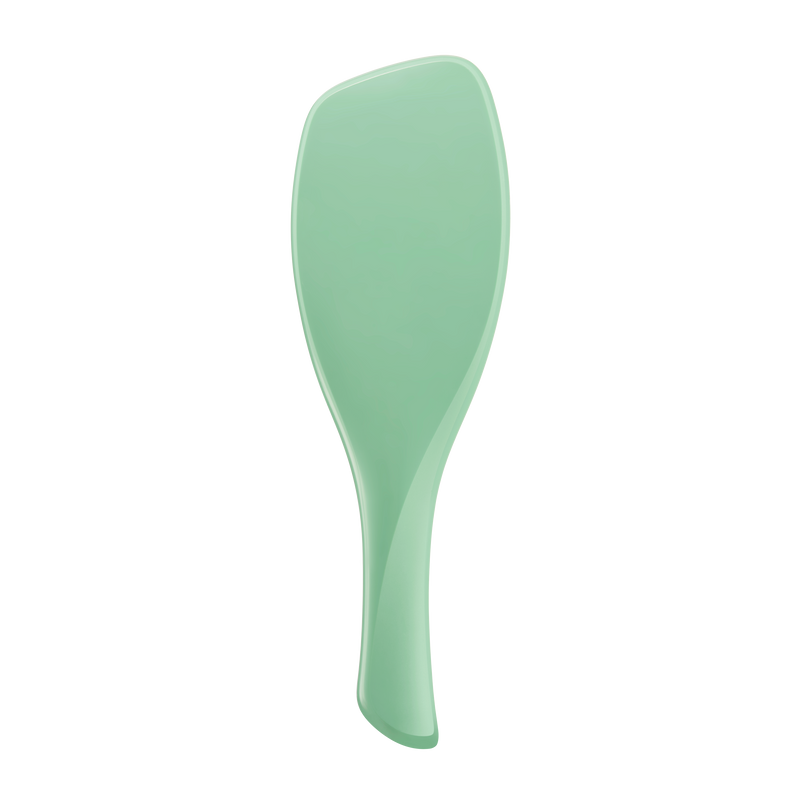 Щітка для прямого та хвилястого волосся Tangle Teezer The Complete Carebrush Glistening Jade tt101 фото