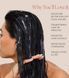 Легка кондиціонуюча маска для волосся Bounce Curl Weightless Conditioning Mask 0360977 фото 6